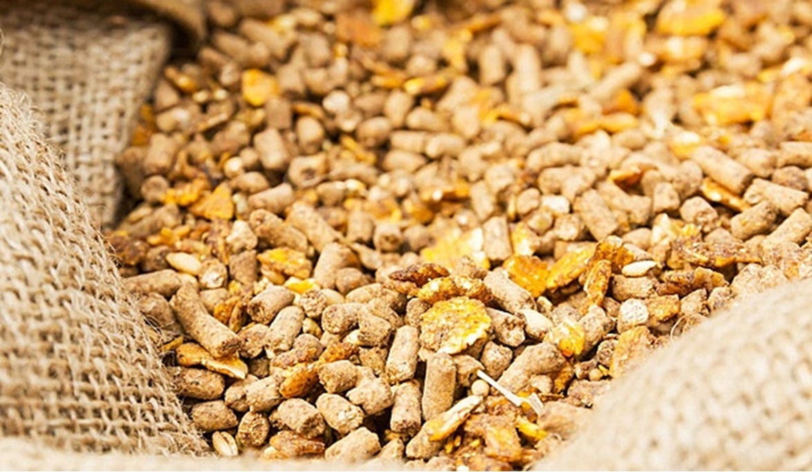 الأعلاف أرشيفية 