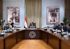 مدبولي والمشاط