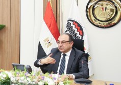 وزير قطاع الأعمال 