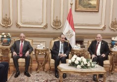 وزير الخارجية بمجلس الشيوخ