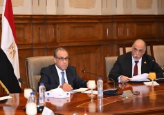 وزير الخارجية بمجلس الشيوخ