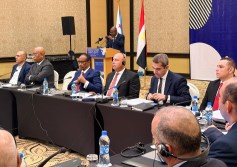 نائب رئيس مجلس الوزراء للتنمية الصناعية