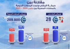 حركة الطيران لمصر