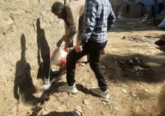 مكافحه النمل الابيض 