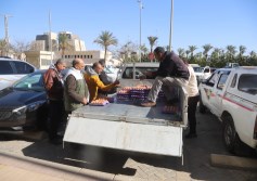 منافذ وزارة الزراعة 