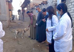 الحملة البيطرية 