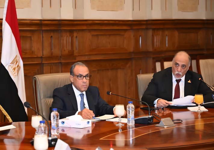 وزير الخارجية بمجلس الشيوخ