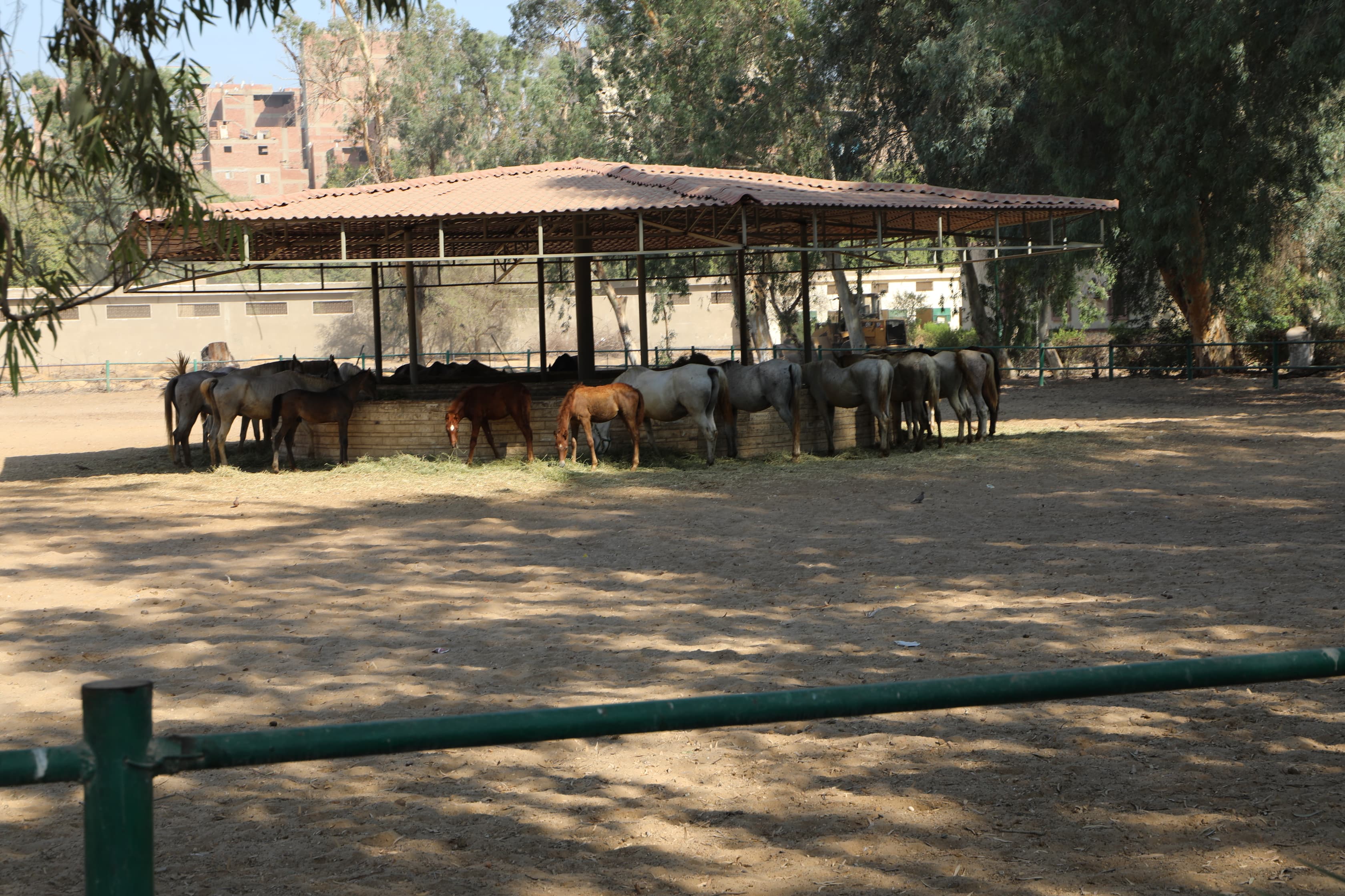 محطة الزهراء