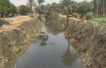 الترع
