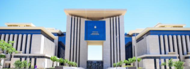 وزارة الخارجية المصرية