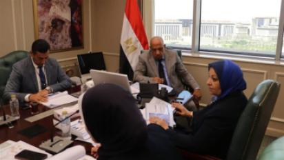 وزير الكهرباء