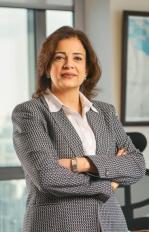 رئيس مجلس إدارة شركة شل مصر