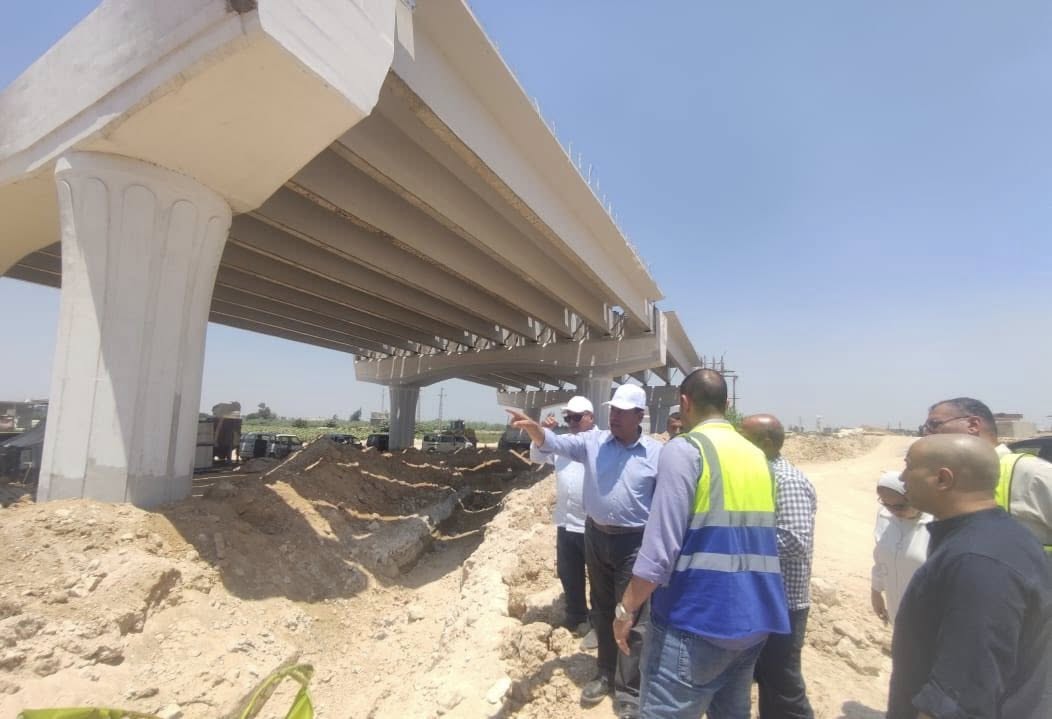 محور اللواء عمر سليمان