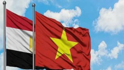 مصر وفيتنام