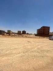 القاهرة الجديدة