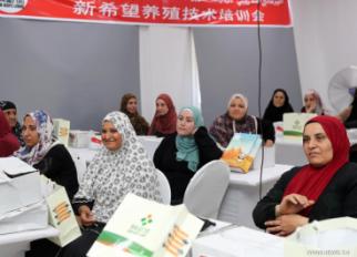 مشروع الأمل الجديد