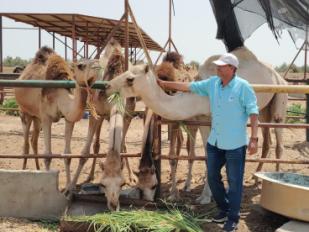 وزارة الزراعة