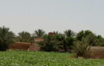 مدينة العاشر من رمضان