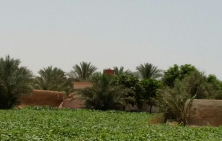 مدينة العاشر من رمضان
