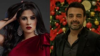 ياسمين عبد العزيز