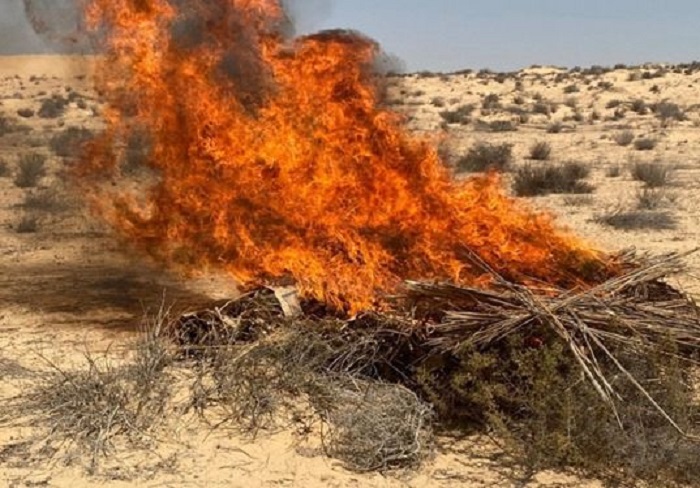 مخدرات