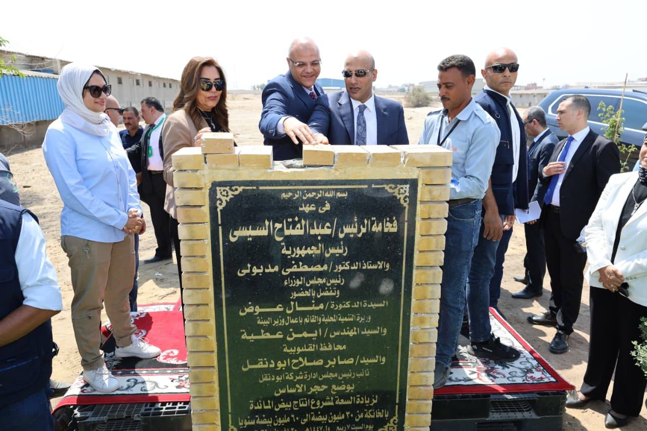 التنمية المحلية
