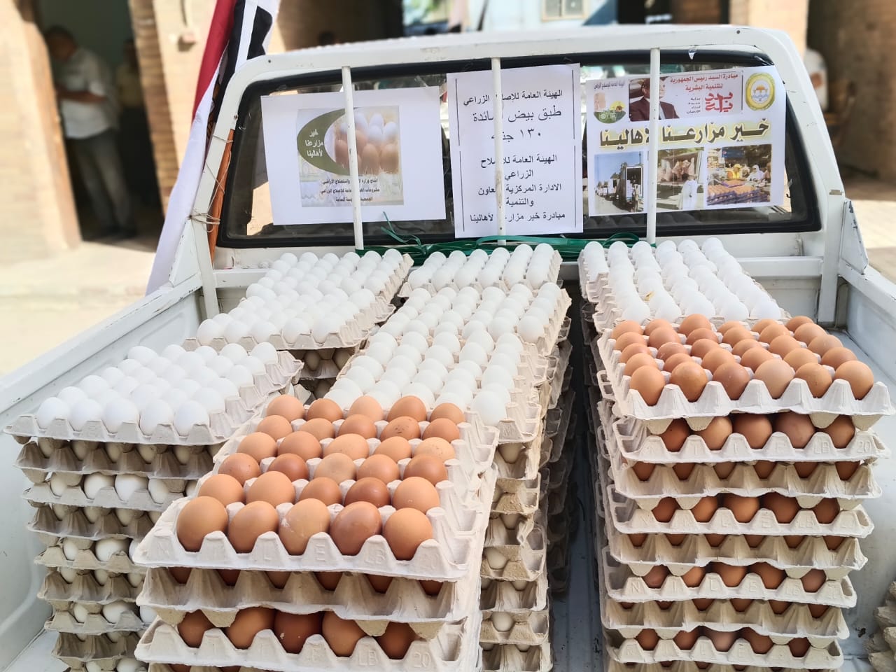 البيض