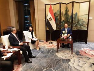 كامل الوزير