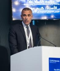إي أف جي
