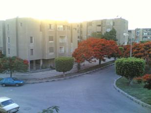 15 مايو