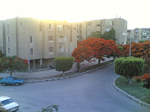 15 مايو