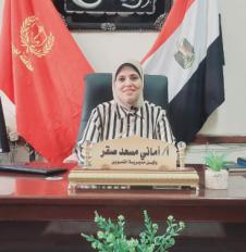 بدء خدمة تحديث البيانات على منصة مصر الرقمية