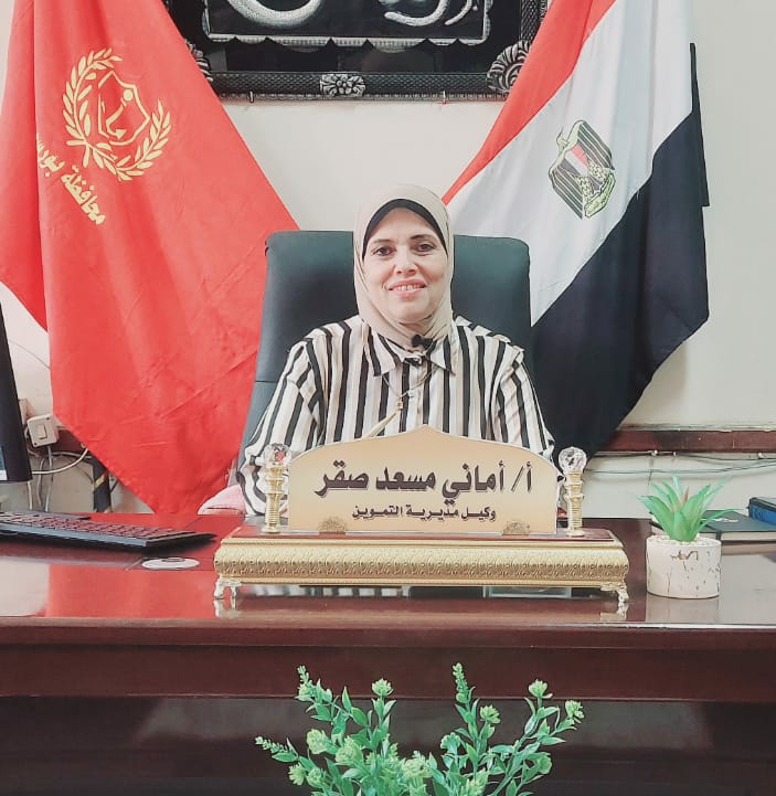 بدء خدمة تحديث البيانات على منصة مصر الرقمية