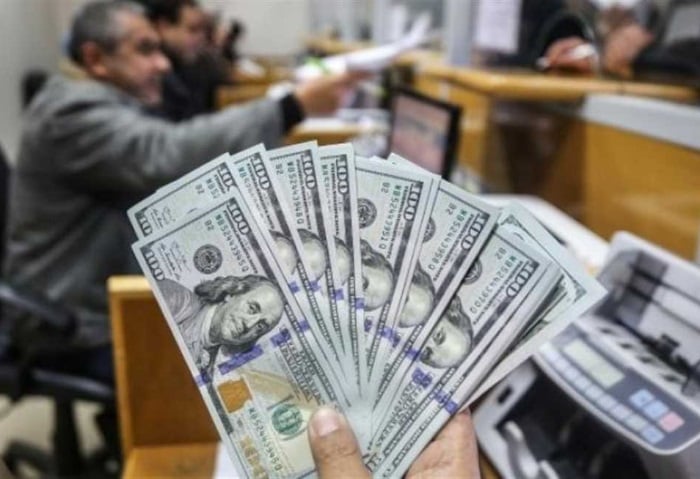 سعر الدولار