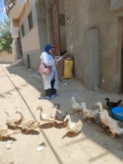 وزارة الزراعة