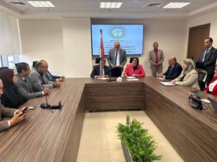 المصرية لنقل الكهرباء