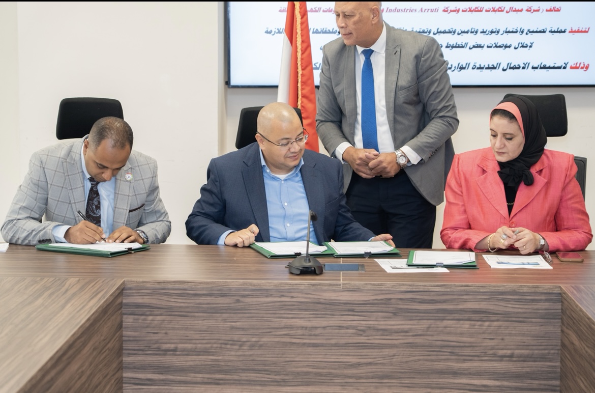 المصرية لنقل الكهرباء