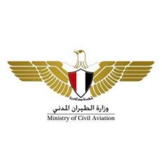 الطيران