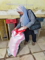 محافظة الجيزة