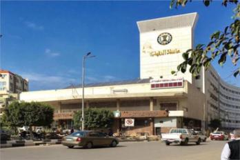 ديوان محافظة الدقهلية