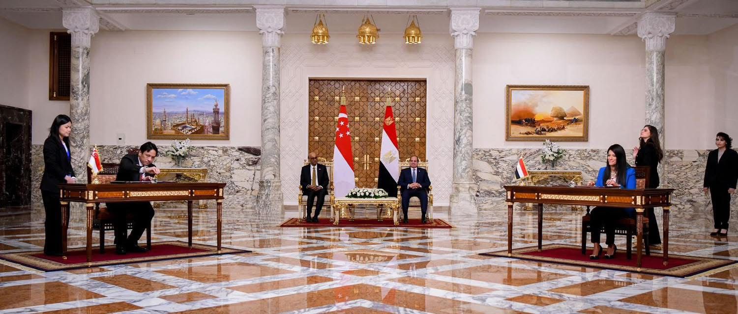 وزيرة التخطيط