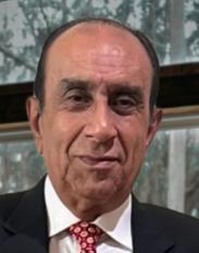 حسام الدين عطية