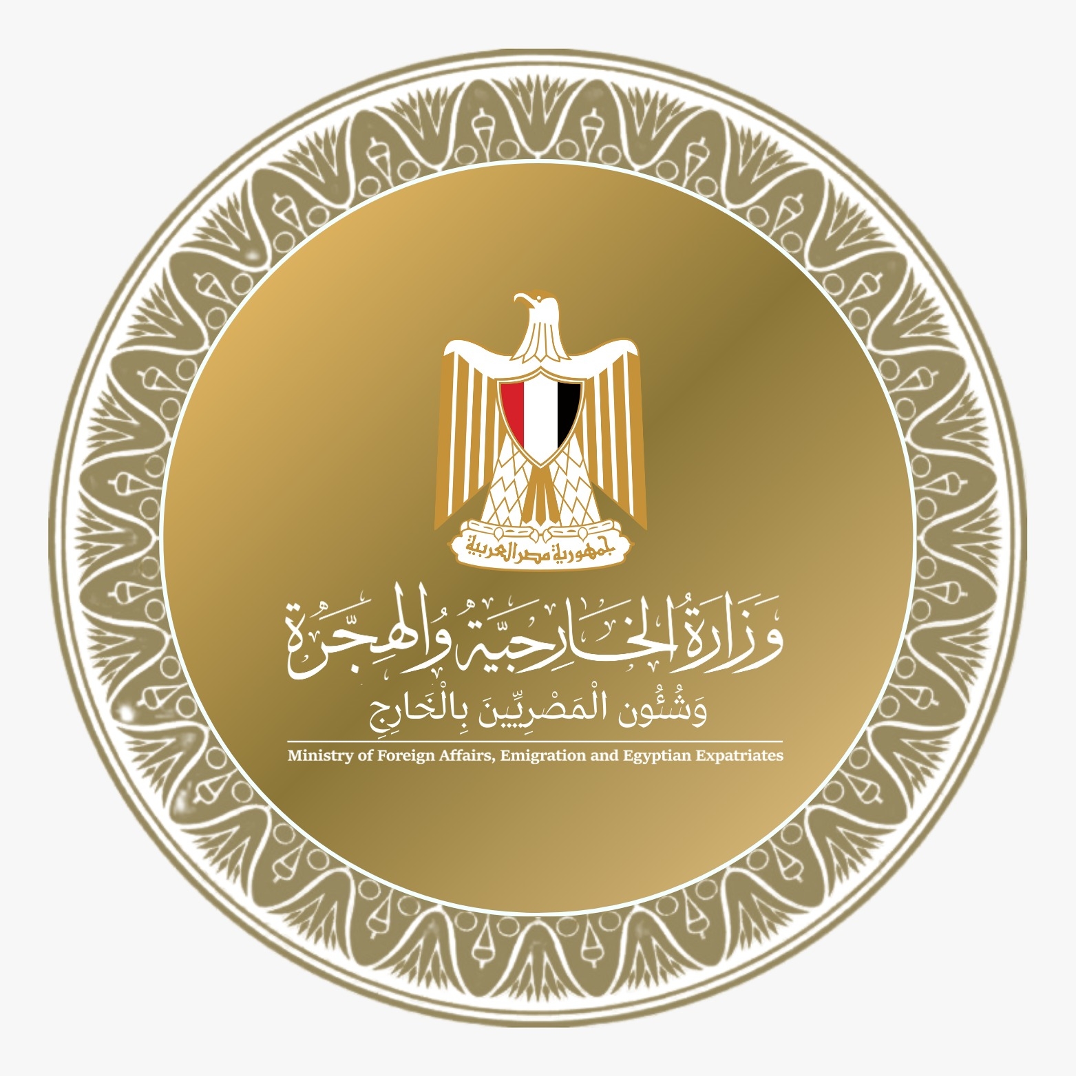 بدر عبد العاطي وزير الخارجية