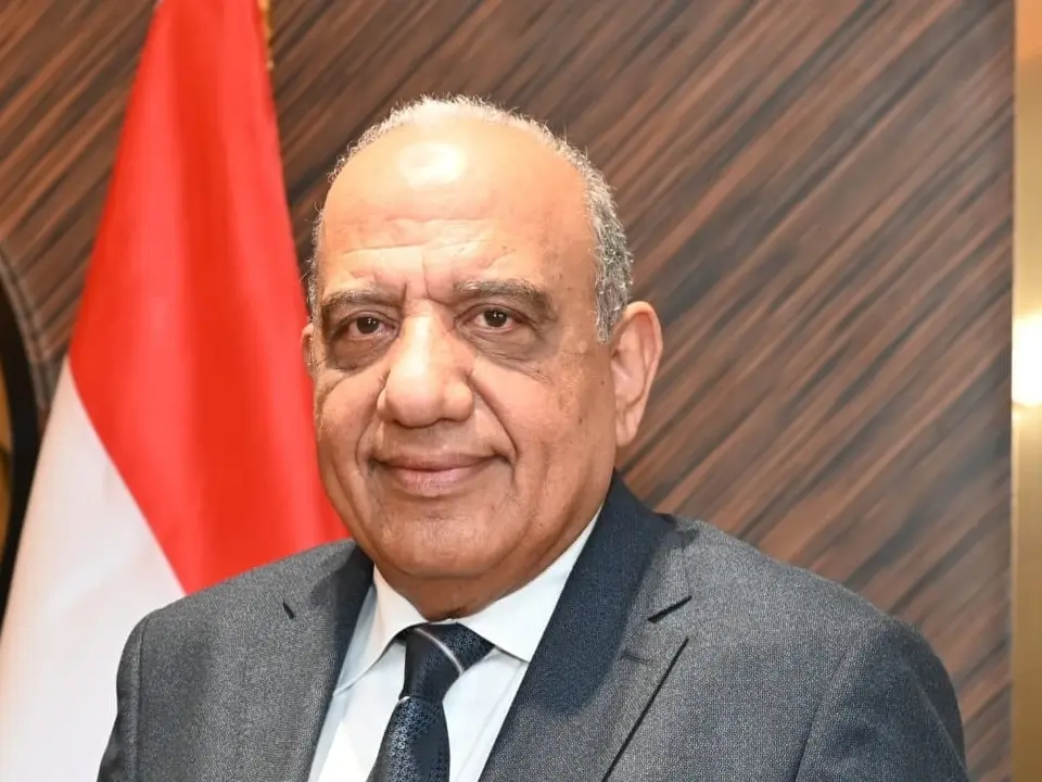 وزير الكهرباء