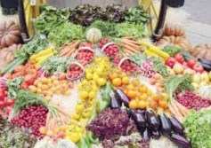 الحاصلات البستانية