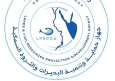 جهاز حماية وتنمية البحيرات والثروة السمكية