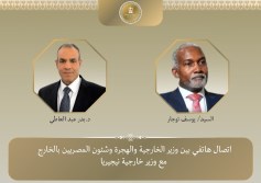 وزيرا خارجية مصر ونيجيريا