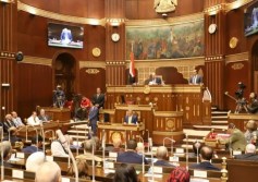 مجلس الشيوخ