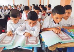 اللغة العربية 