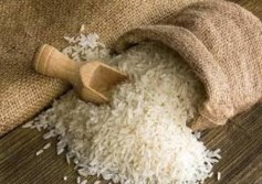 صادرات الأرز الهندية